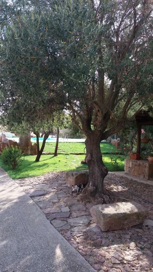 Agriturismo Sa E Padedda Mores Dış mekan fotoğraf