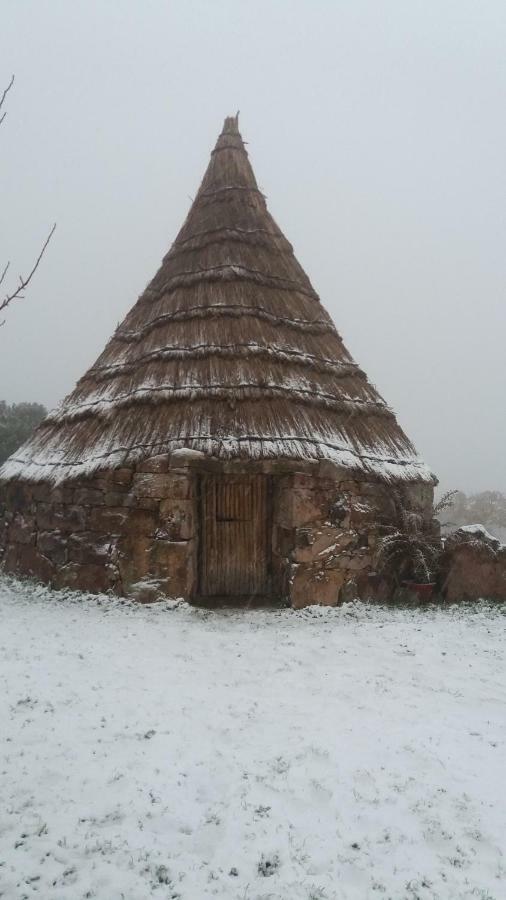 Agriturismo Sa E Padedda Mores Dış mekan fotoğraf