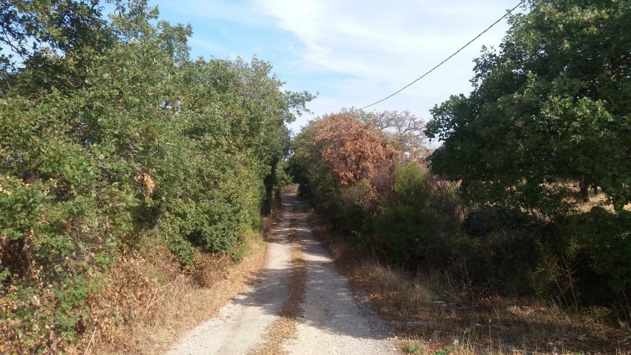 Agriturismo Sa E Padedda Mores Dış mekan fotoğraf