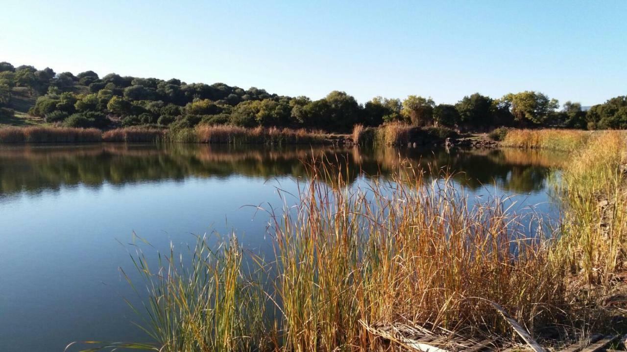 Agriturismo Sa E Padedda Mores Dış mekan fotoğraf