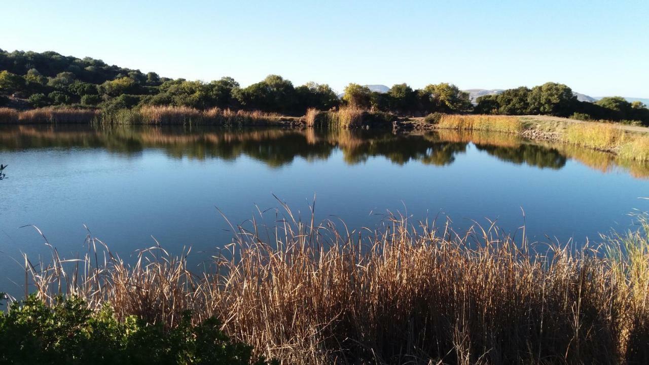 Agriturismo Sa E Padedda Mores Dış mekan fotoğraf