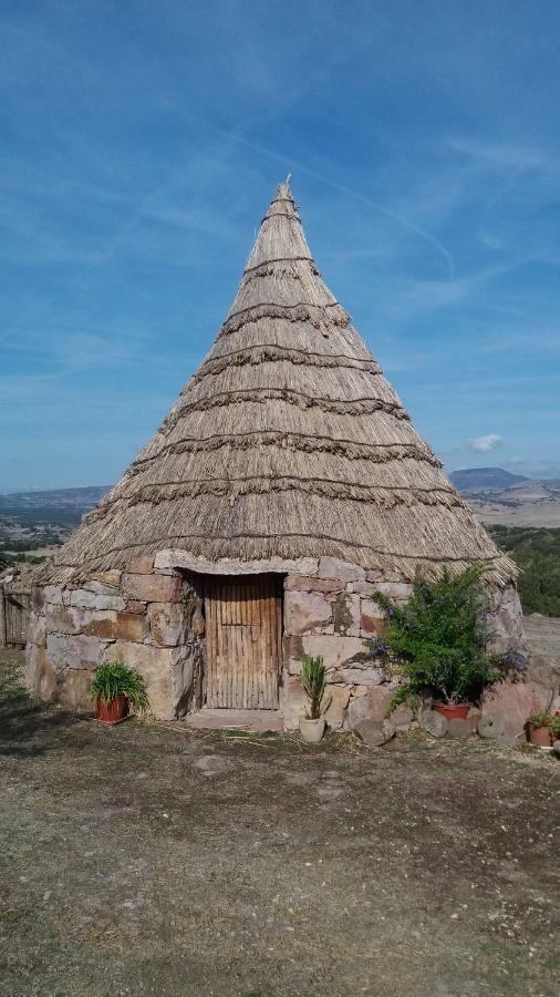Agriturismo Sa E Padedda Mores Dış mekan fotoğraf