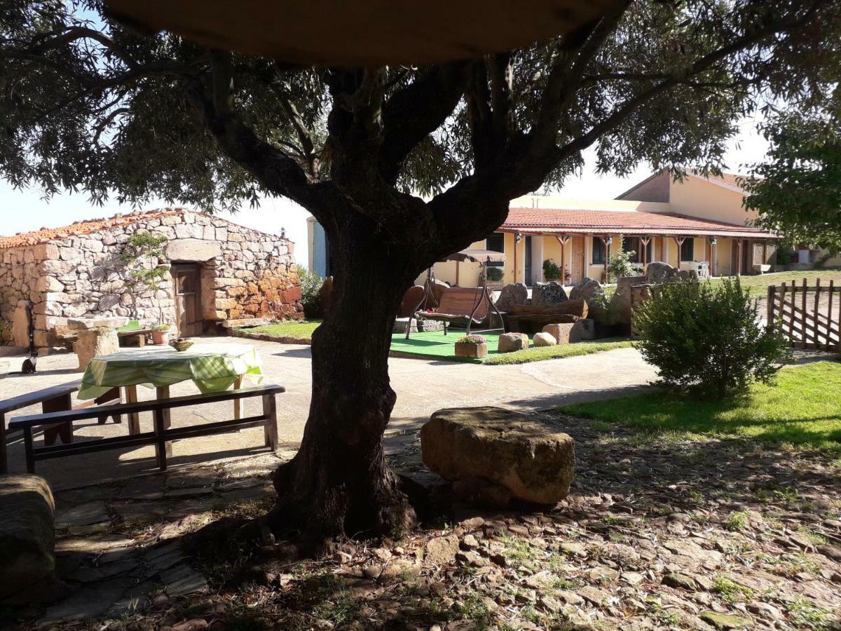 Agriturismo Sa E Padedda Mores Dış mekan fotoğraf